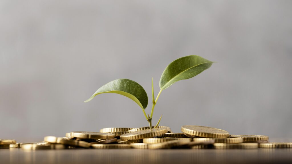 Crowdfunding una pianta che cresce in mezzo a delle monete